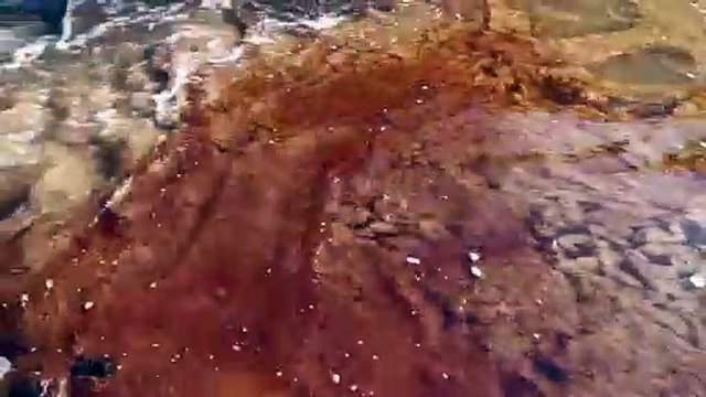 Авария на ТЭЦ: нефтепродукты могут попасть в Карское море