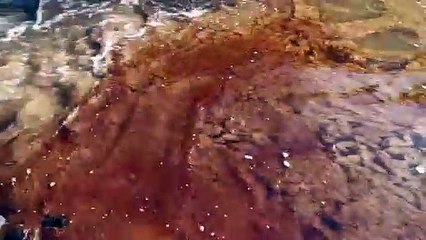 Авария на ТЭЦ: нефтепродукты могут попасть в Карское море