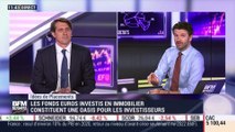 Idées de placements: Les fonds en euros investis en immobilier constituent une oasis pour les investisseurs - 09/06