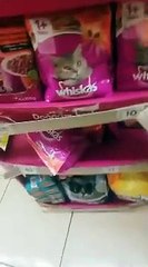 Marketteki Kadına İstediği Mamayı Aldırtan Sokak Kedisi