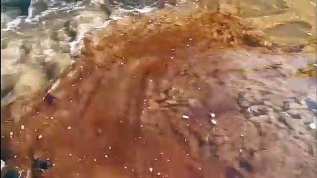 Pollution au diesel en Sibérie : les barrages flottants n'ont pas résisté