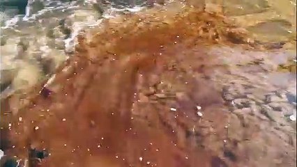 Pollution au diesel en Sibérie : les barrages flottants n'ont pas résisté