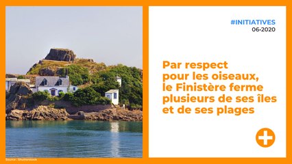 Par respect pour les oiseaux, le Finistère ferme plusieurs de ses îles et de ses plages