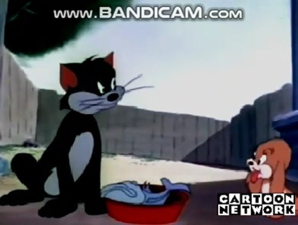 Color Rhaspody - Cat-Tastrophy (1949)