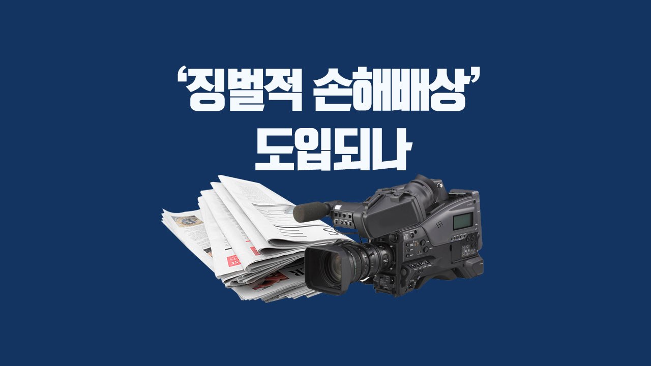 [뉴있저] "가짜뉴스 언론사 3배 손해배상"...징벌적 손해배상제 도입되나 / YTN