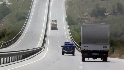 Ormanlık alanda 12 telef olmuş sokak köpeği bulundu - KIRKLARELİ