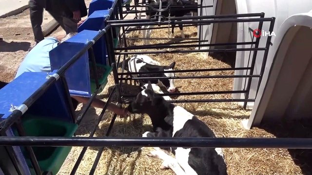 Devlet desteği ile süt işletmesi kurdu