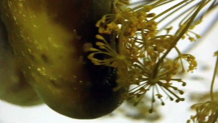 Die Seele der Wurst – Gurke