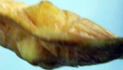 Die Seele der Wurst – Käse