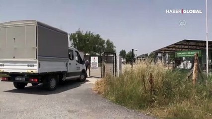 Kırklareli'nde ormanlık alanda telef olmuş 12 sokak köpeği bulundu