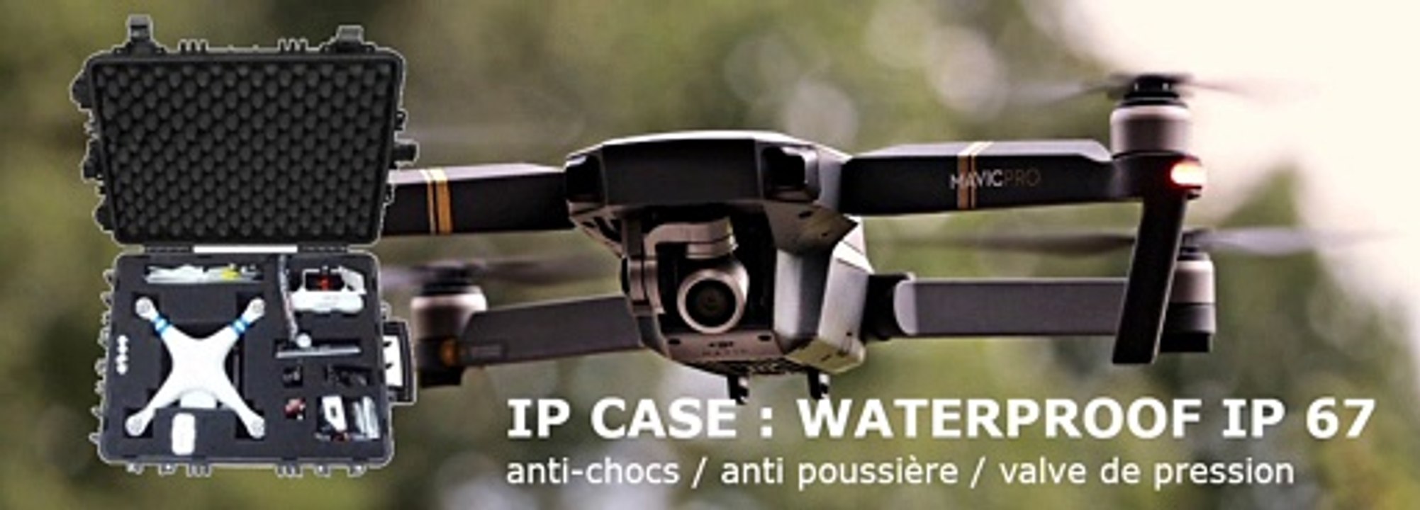 IP CASES
