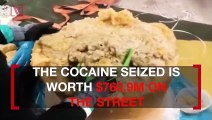 Pulp (Non-)Fiction! $761M Worth of Cocaine Found Hidden in Frozen Pineapple Pulp