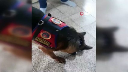 Yol kontrolünde aranan yolcunun ayakkabısının altından uyuşturucu çıktı