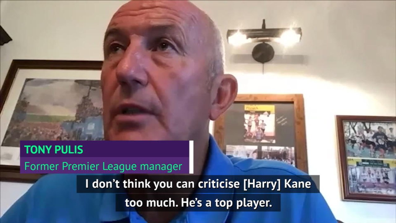 Kane and Tottenham need to win trophies - Tony Pulis