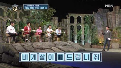 황제성, 뻐드렁니가 보고싶다고…? 스피드 초성 퀴즈③