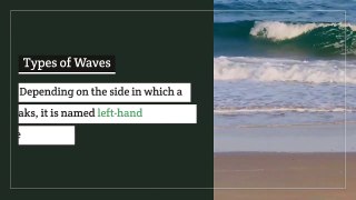 Anatomy of a Surf Wave