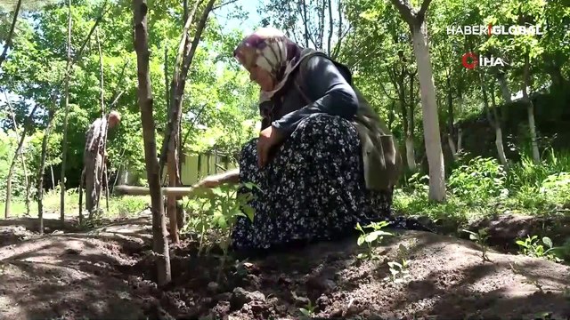 60'ında ilkokulu, 63'ünde ortaokulu bitirdi, 67 yaşında kitap çıkardı