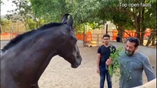 Salman Khan- Panvel Farmhouse Salman cleaning Street, Jacqueline Fernandez