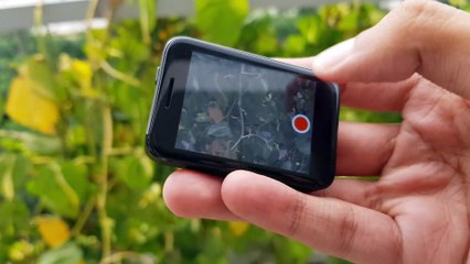 Tiny Mobile Phone from China! Callmate Watch Phone