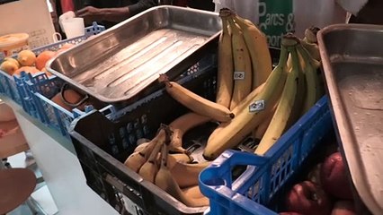 Les mineurs isolés accueillis par l'association Maison Solidaire à Saint-Etienne