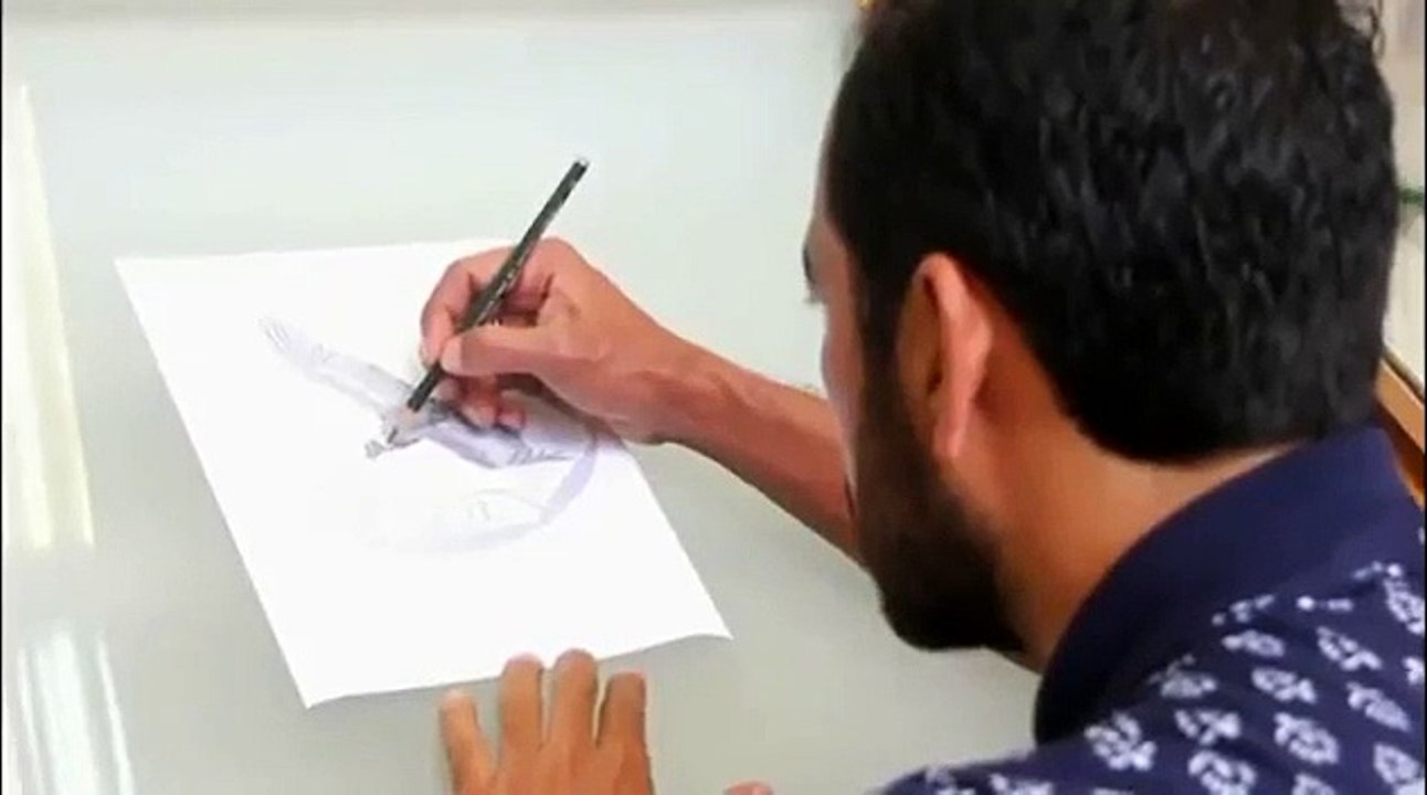 El Condor Andino | The Andean Condor