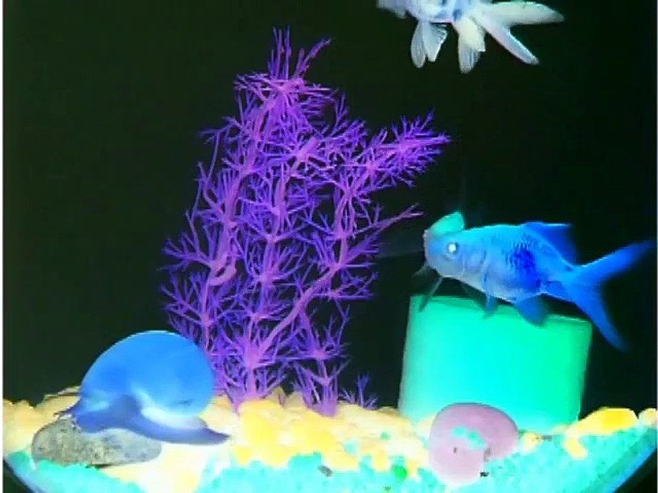 Language Nursery in G Major [Part 2]