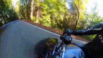 Motorcycle Rider Tips on Turn and Slides into Forest
