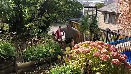 New Zealand man jumps for joy after learning country has virtually defeated COVID-19