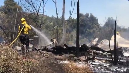 Small brush fire burns two structures