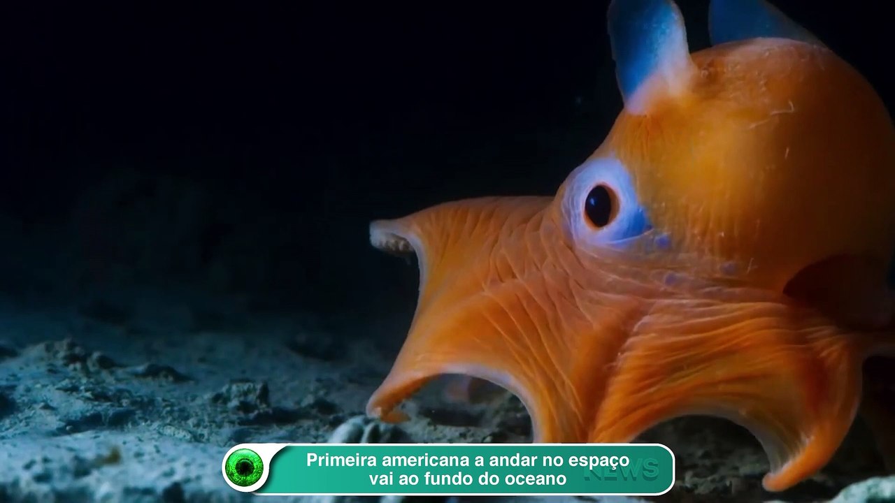 Primeira americana a andar no espaço vai ao fundo do oceano