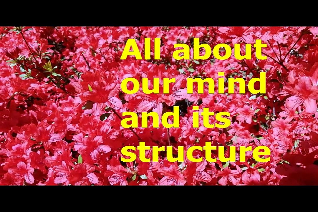 Know about your mind...