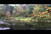 Sound meditation to heal your mind| Sound meditation| Water striking on beautiful beach| Guided sound meditation for depression, anxiety, and insomnia