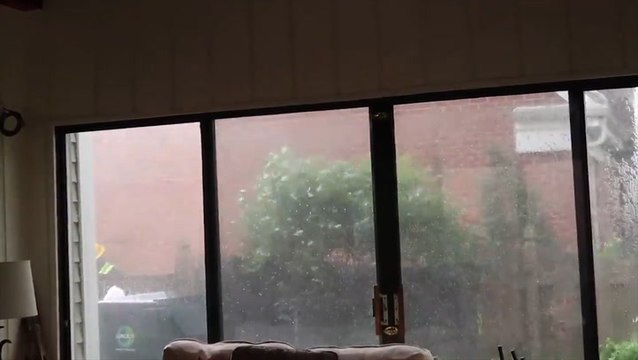 Gusty winds bring down trees in Illinois