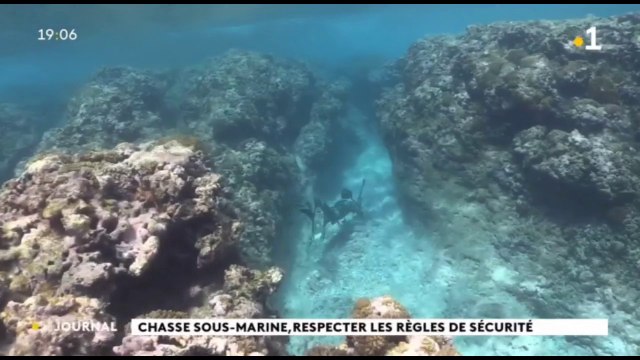 Accident de plongée : rappel des règles à respecter