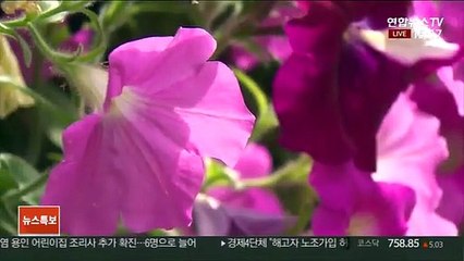 Tải video: [날씨] 오늘까지 폭염 지속…제주 이른 장마 시작