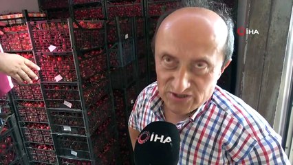 Tokat kirazı Avrupa yolcusu