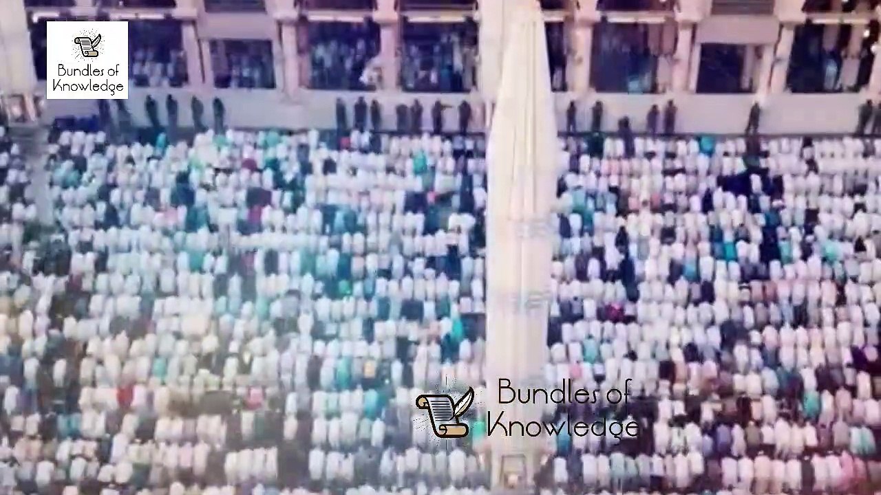 Frillback Pigeons | جھالر والے کبوتر | Jhalar Wale Kabootar | Fancy Pigeon | Bundles Of Knowledge