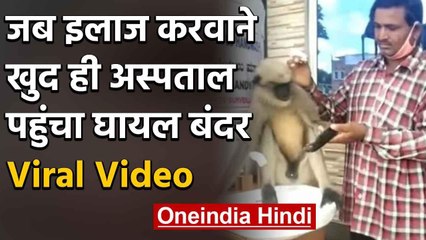 Monkey जब हुआ injured तो खुद ही पहुंचा Hospital अपना treatment कराने , watch video | वनइंडिया हिंदी