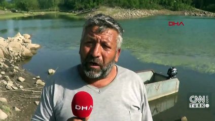 Balık ölümleri, bölge halkını endişelendirdi | Video