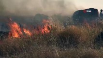 Şanlıurfa'da çıkan yangında 400 dönüm ekili arazi kül oldu