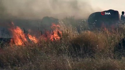 Download Video: Şanlıurfa'da çıkan yangında 400 dönüm ekili arazi kül oldu