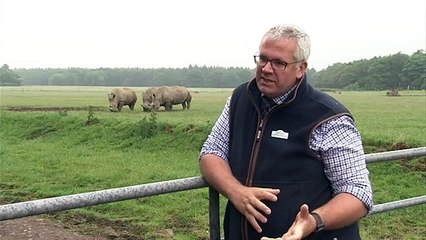 Zoos and safari parks to reopen