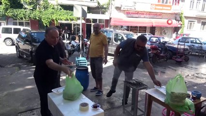 Çanakkale’de sardalya yağlandı, vatandaş bayram etti