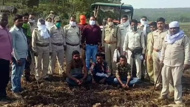 अवैध लकड़ी ले जाते दो लोगो पर वन विभाग की कार्यवाही, वाहन जप्त