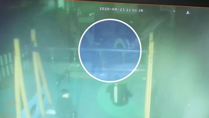 [뉴있저] 무서운 10대 중 14살 촉법소년도 있었다 / YTN