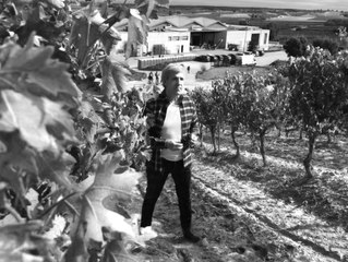Entrevista José Moro, CEO Bodegas Emilio Moro