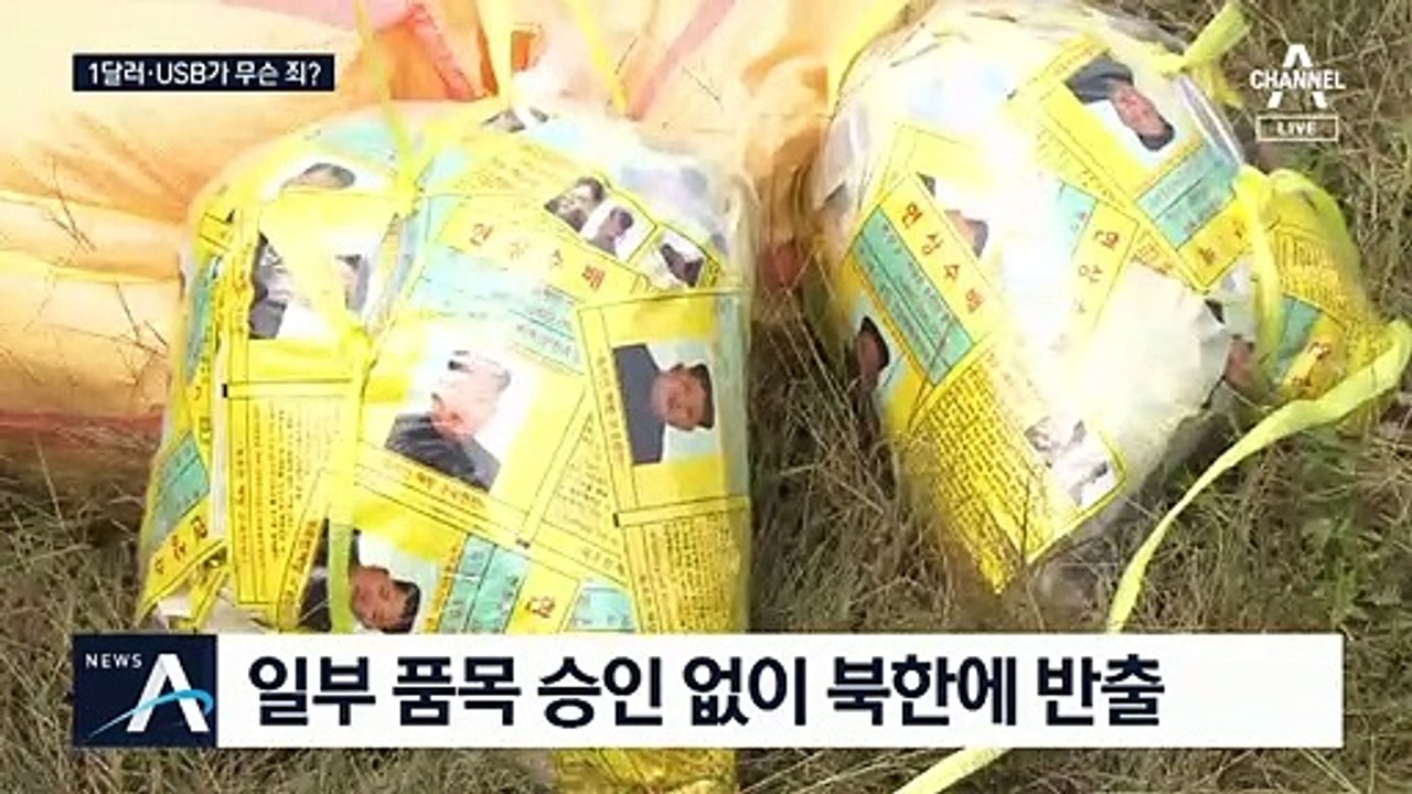 전단 속 1달러 지폐·USB가 위법?…표현의 자유 논란