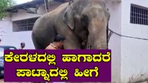 Man writes his property to these elephants | Kerala | Oneindia Kannada
