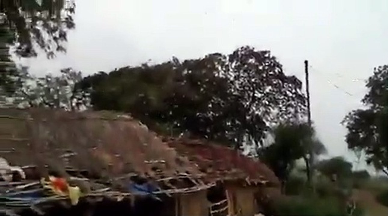 प्रयागराज शहर के पास लोगों ने देखा टिड्डियों का झुण्ड