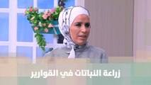 أهم النصائح لنجاح زراعة النباتات في القوارير- أمل القيمري - دنيا الزراعة